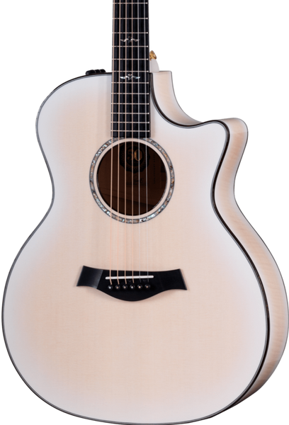 マイリトルテイラー/セミオーダー Taylor T5z Used Classic 12-String – Southpaw Guitars