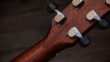 Taylor Gold Label 814e Honduran Rosewood Acoustic Electric Guitar