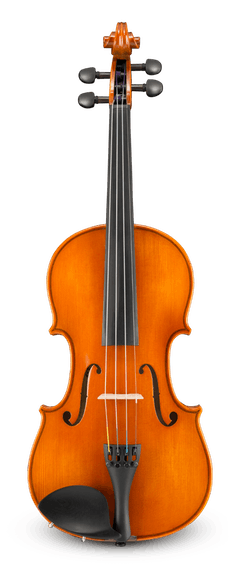Eastman VL100 Student Violin – Woodsy's Music