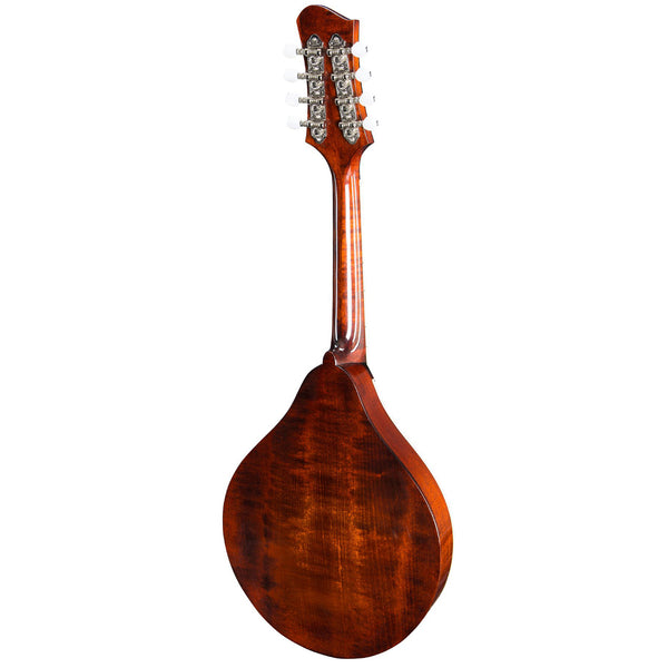 訳あり Eastman MD505　マンドリン ハードケース付き Eastman MD505 Classic Mandolin & Case – Elderly Instruments