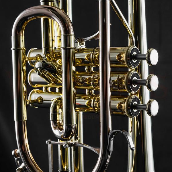 Yamaha neo cornet online