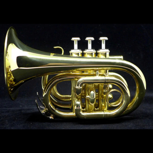Demo Model Austin Custom Brass Doubler's Large Bell Pocket Trumpet –  Woodsy's Music