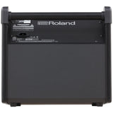 Roland PM100 Personal Powered Monitor