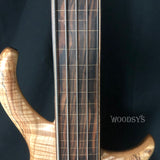 Used Warrior 5-String Fretless Bass