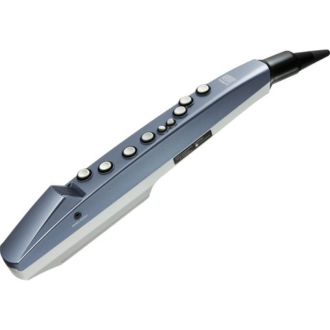 Roland Aerophone Mini Digital Wind Instrument