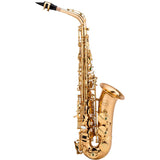Demo Model Chateau CAS-80 Professional Alto Saxophone