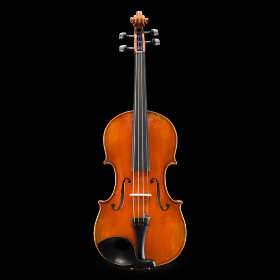 Eastman Albert Nebel VL601 Advanced Violin – Woodsy's Music Eastman Albert Nebel VL601 Advanced Violin – Woodsy's Music
