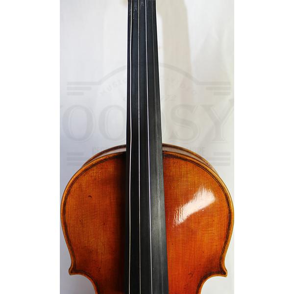 Eastman Strings Raúl Emiliani VL928 Professional Violin – Woodsy's