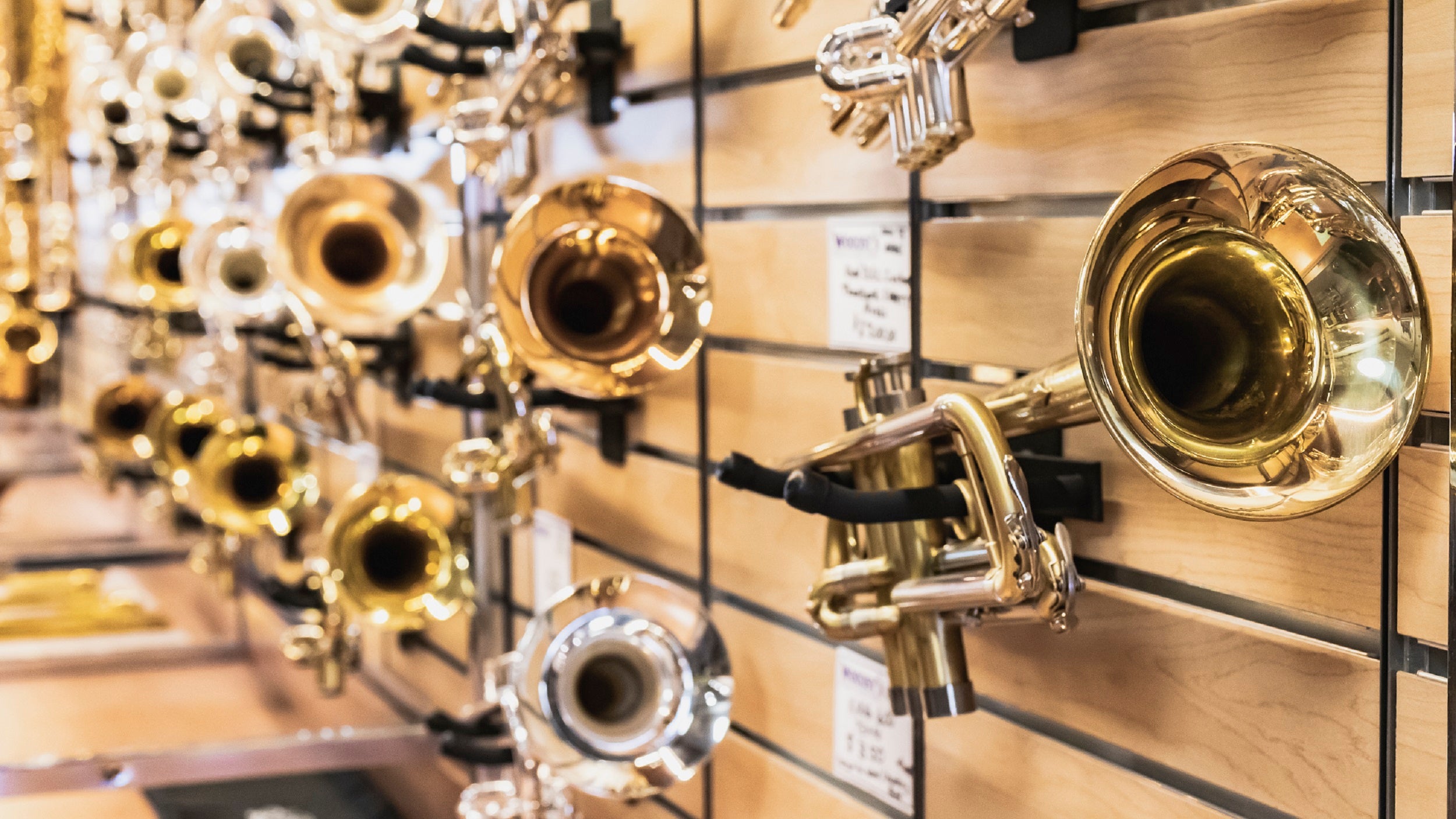 Brass Instruments  Kent, Ohio Band Instrument Store – Woodsy's Music