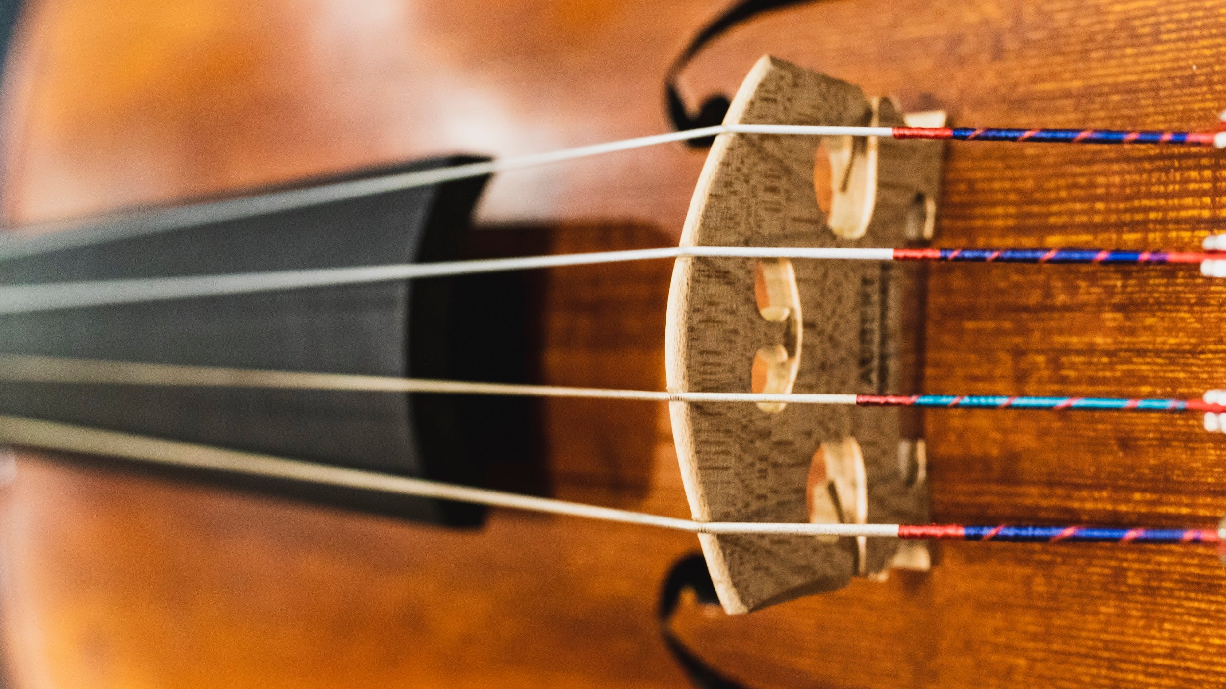 String Instruments Strings Instruments Of The Orchestra Strings
