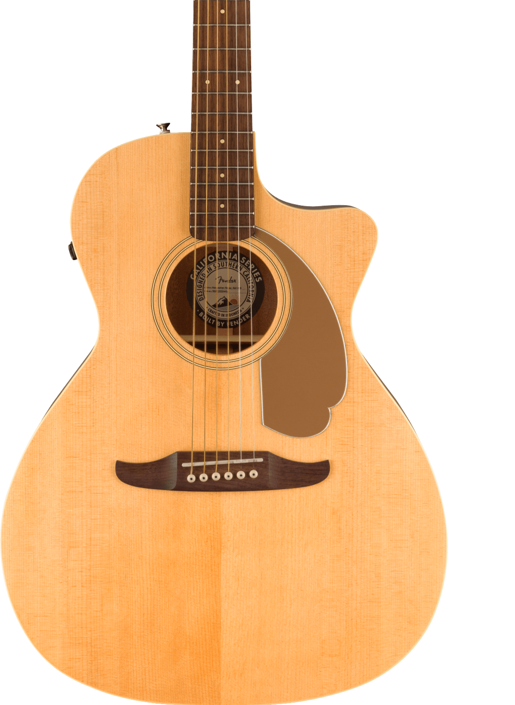 Fender Acoustic Guitars – Woodsy's Music