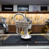 Used Taylor Custom Shop Phat Puppy Flugelhorn