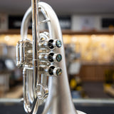 Used Taylor Custom Shop Phat Puppy Flugelhorn