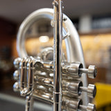 Used Taylor Custom Shop Phat Puppy Flugelhorn