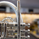 Used Taylor Custom Shop Phat Puppy Flugelhorn
