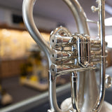 Used Taylor Custom Shop Phat Puppy Flugelhorn
