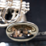 Used Taylor Custom Shop Phat Puppy Flugelhorn