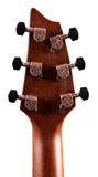 Breedlove Pursuit Exotic S Concert Edgeburst CE