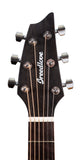 Breedlove Pursuit Exotic S Concert Edgeburst CE