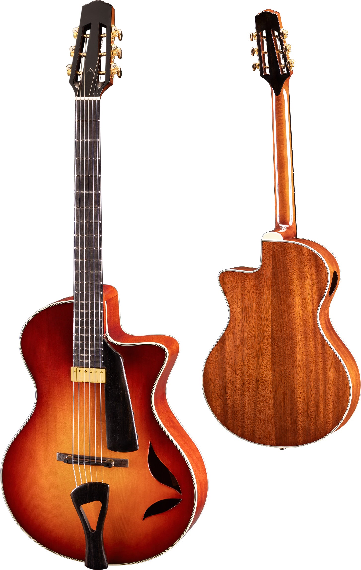 FV680-GB_Archtop__PGB1_23.jpg?
