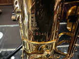 Yanagisawa A-880 Alto Saxophone
