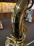 Yanagisawa A-880 Alto Saxophone