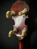 Vintage Gibson TB-3 Mastertone Tenor Banjo 1920's