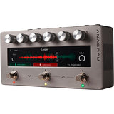 Darkglass Anagram Multi-Effects Bass Unit