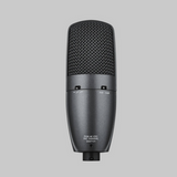 Beta 27 Supercardioid Condenser Instrument Microphone