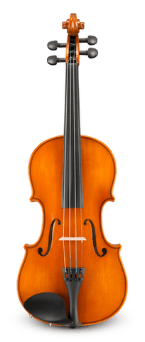 Eastman VL100 Student Violin