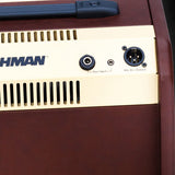 Fishman LBT-500 Loudbox Mini Bluetooth