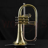 Bach FH600 "Aristocrat" Intermeidate Flugelhorn