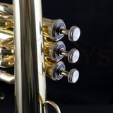 Bach FH600 "Aristocrat" Intermeidate Flugelhorn