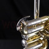 Bach FH600 "Aristocrat" Intermeidate Flugelhorn