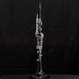 Backun Q Series Professional Bb Clarinet