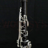 Backun Q Series Professional Bb Clarinet