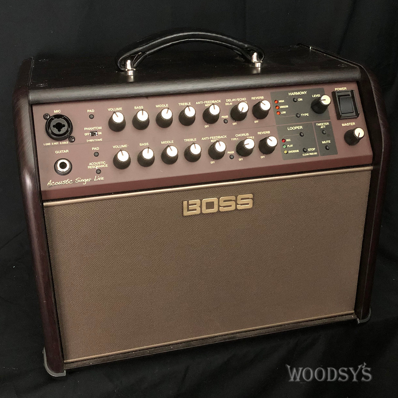 Boss ACS Live Acoustic Guitar and Vocal Amp Woodsy's Music