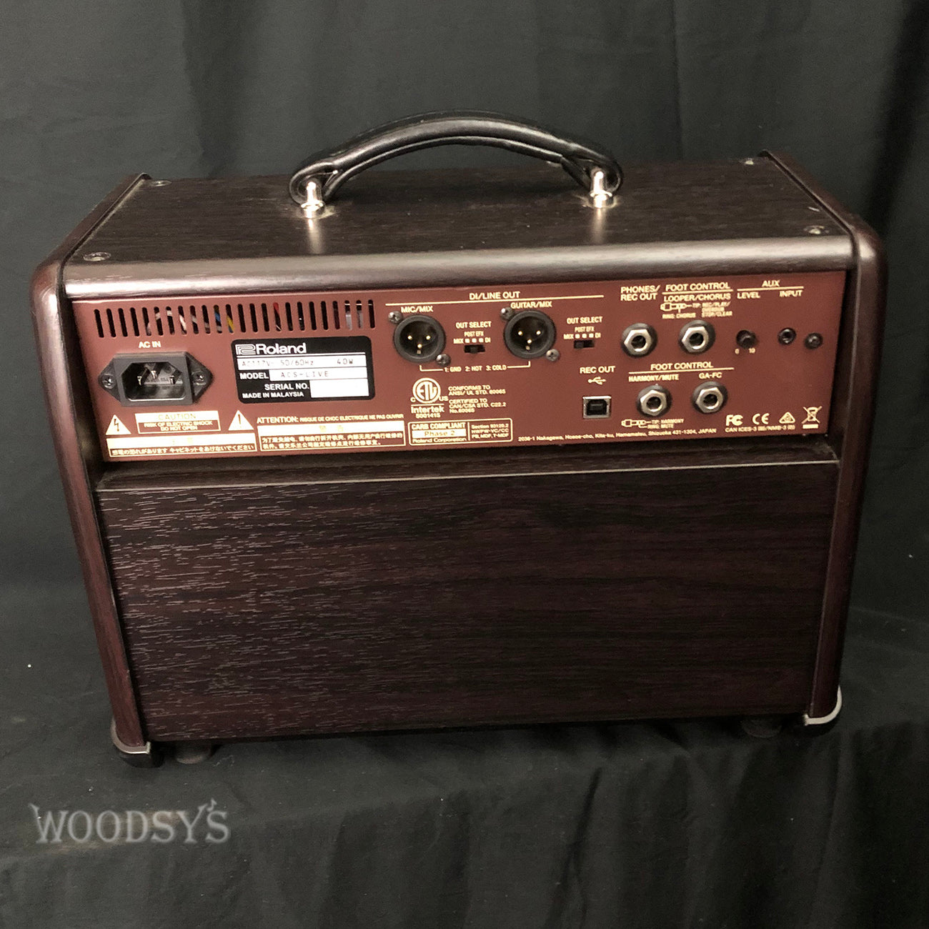 Boss ACS Live Acoustic Guitar and Vocal Amp Woodsy's Music