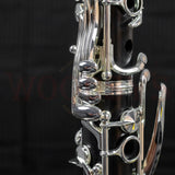 NEW OLD STOCK Buffet R13S Bb Clarinet