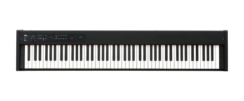 Korg D1 Digital Piano