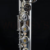 Haynes Q1 Professional Flute