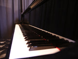 Used Hallet Davis & Co. Baby Grand Piano