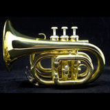 Austin Custom Brass Doubler's Large Bell Pocket Trumpet