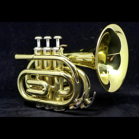 Demo Model Austin Custom Brass Doubler's Large Bell Pocket Trumpet