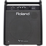 Roland PM200 Personal Powered Monitor