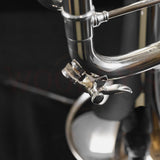 NEW OLD STOCK S.E. Shires TRB B Model Custom Bb Trumpet