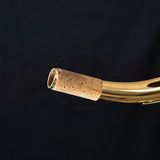 Yanagisawa TWO20 Professional Tenor Saxophone