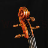 Giuseppe Galiano VA7G Advanced Viola