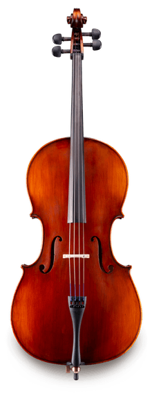Cellos | Kent, Ohio Orchestral Instruments Store – Woodsy's