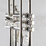 NEW OLD STOCK S.E. Shires TRQ10RS Q Series Professional Bb Trumpet